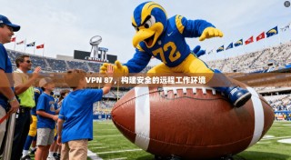 VPN 87，构建安全的远程工作环境