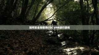 如何安全地使用COC VPN进行游戏