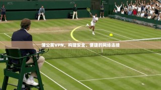 蒲公英VPN，构建安全、便捷的网络连接