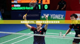 海豚畅游VPN，跨越数字边界的海洋生物