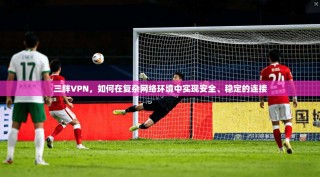 三胖VPN，如何在复杂网络环境中实现安全、稳定的连接