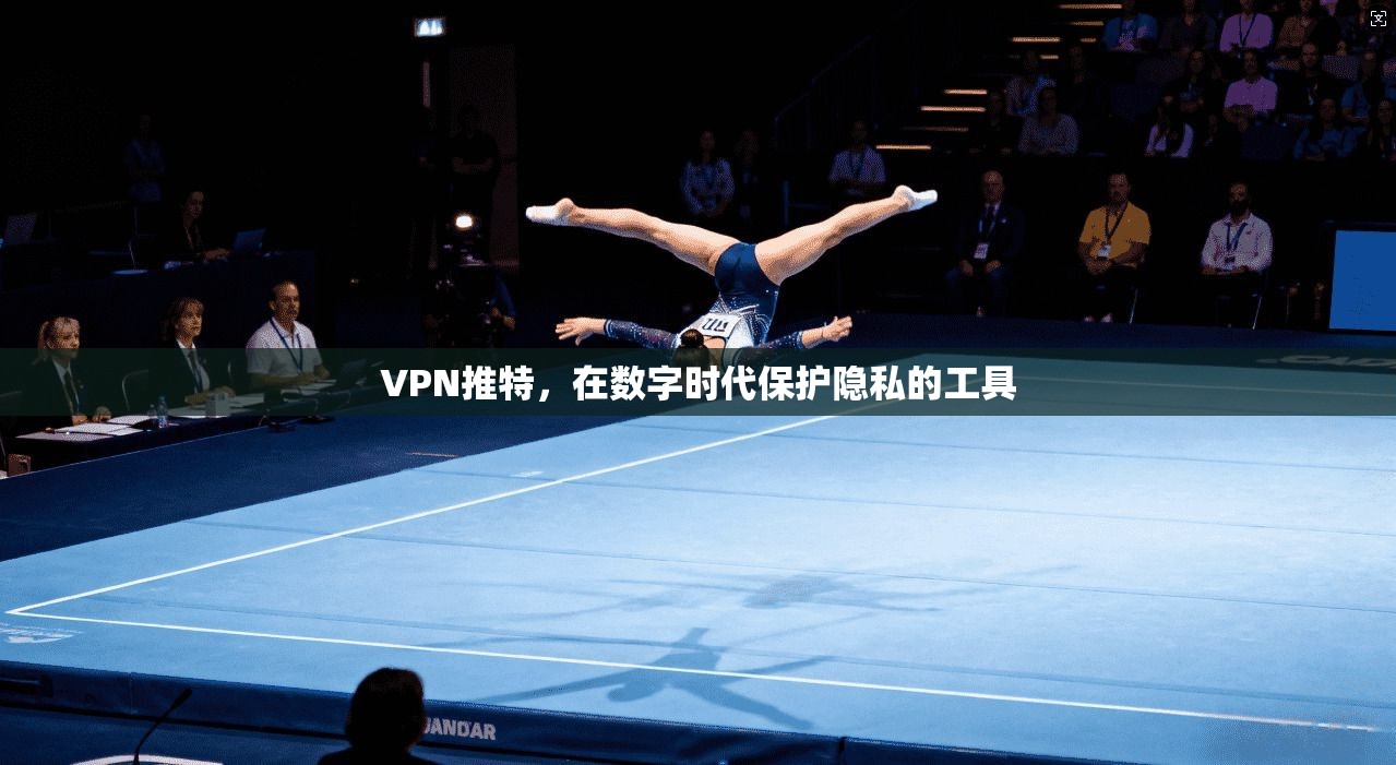 VPN推特，在数字时代保护隐私的工具  第1张