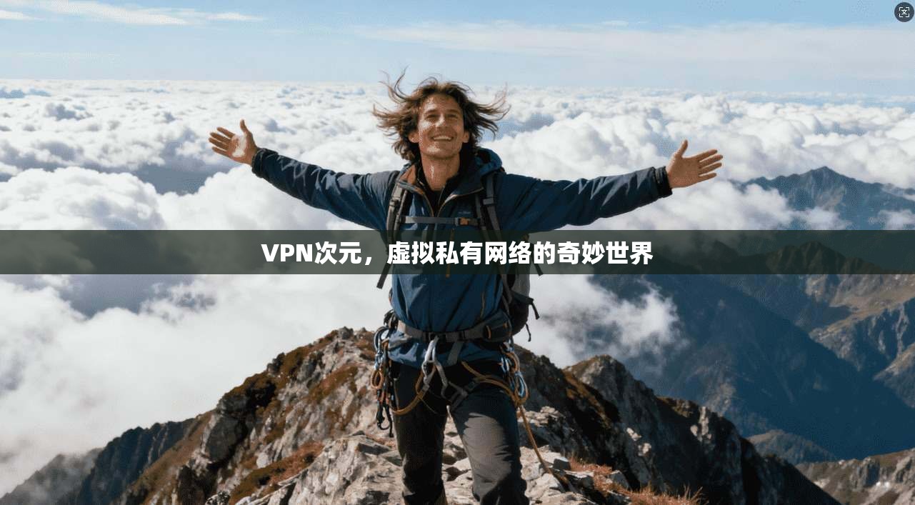 VPN次元，虚拟私有网络的奇妙世界  第1张