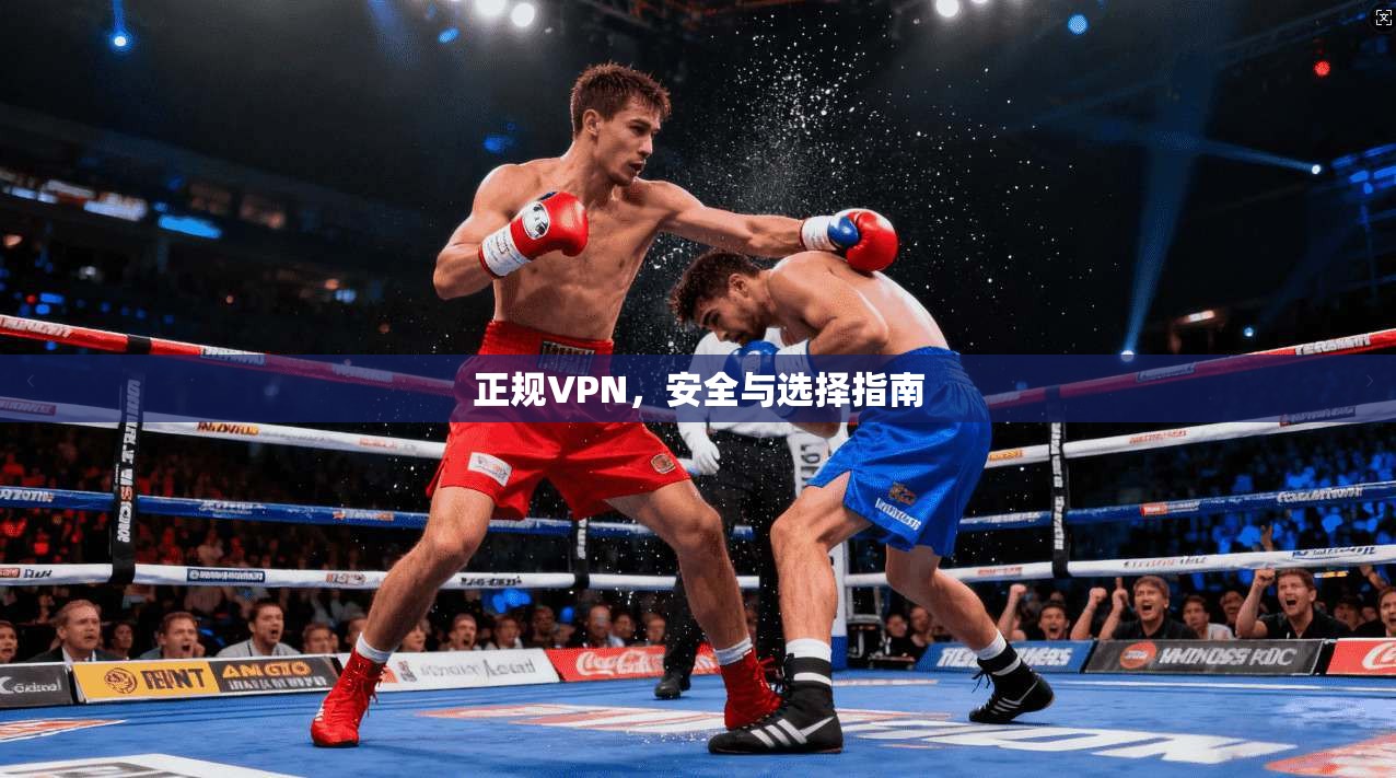 正规VPN，安全与选择指南  第1张
