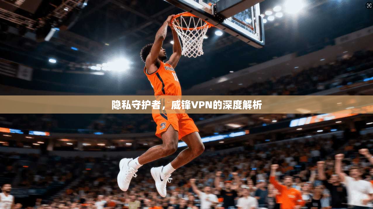 隐私守护者，威锋VPN的深度解析  第1张