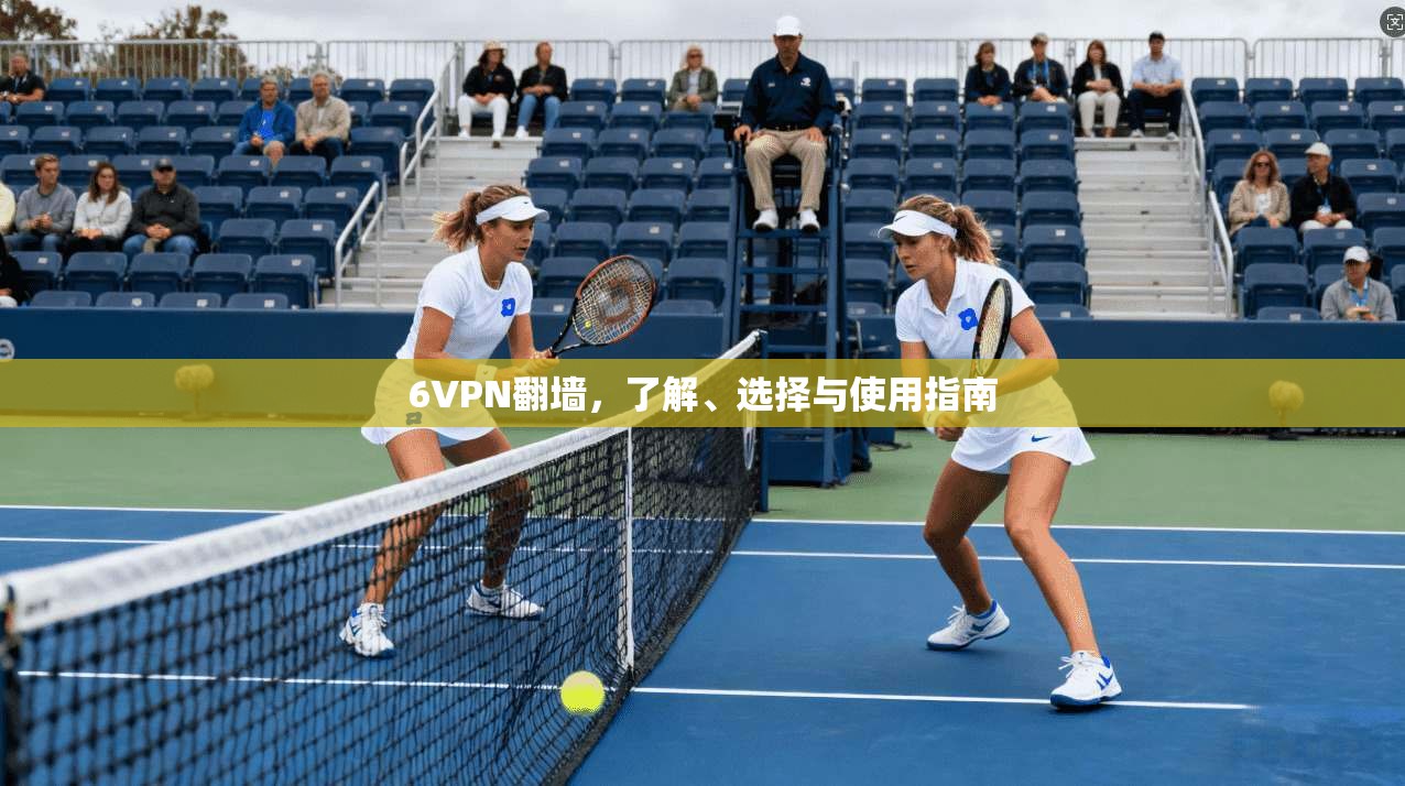 6VPN翻墙,了解、选择与使用指南 第1张 6VPN翻墙,了解、选择与使用指南 第1张