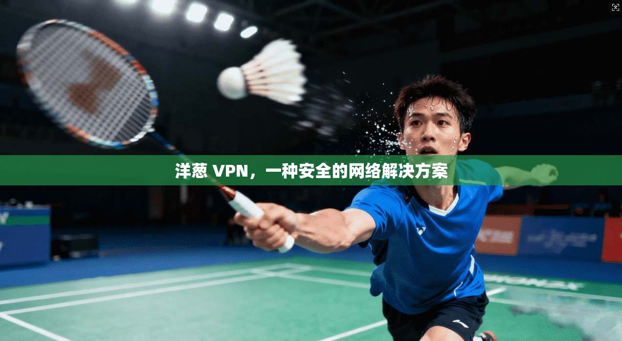 洋葱 VPN,一种安全的网络解决方案 第1张 洋葱 VPN,一种安全的网络解决方案 第1张