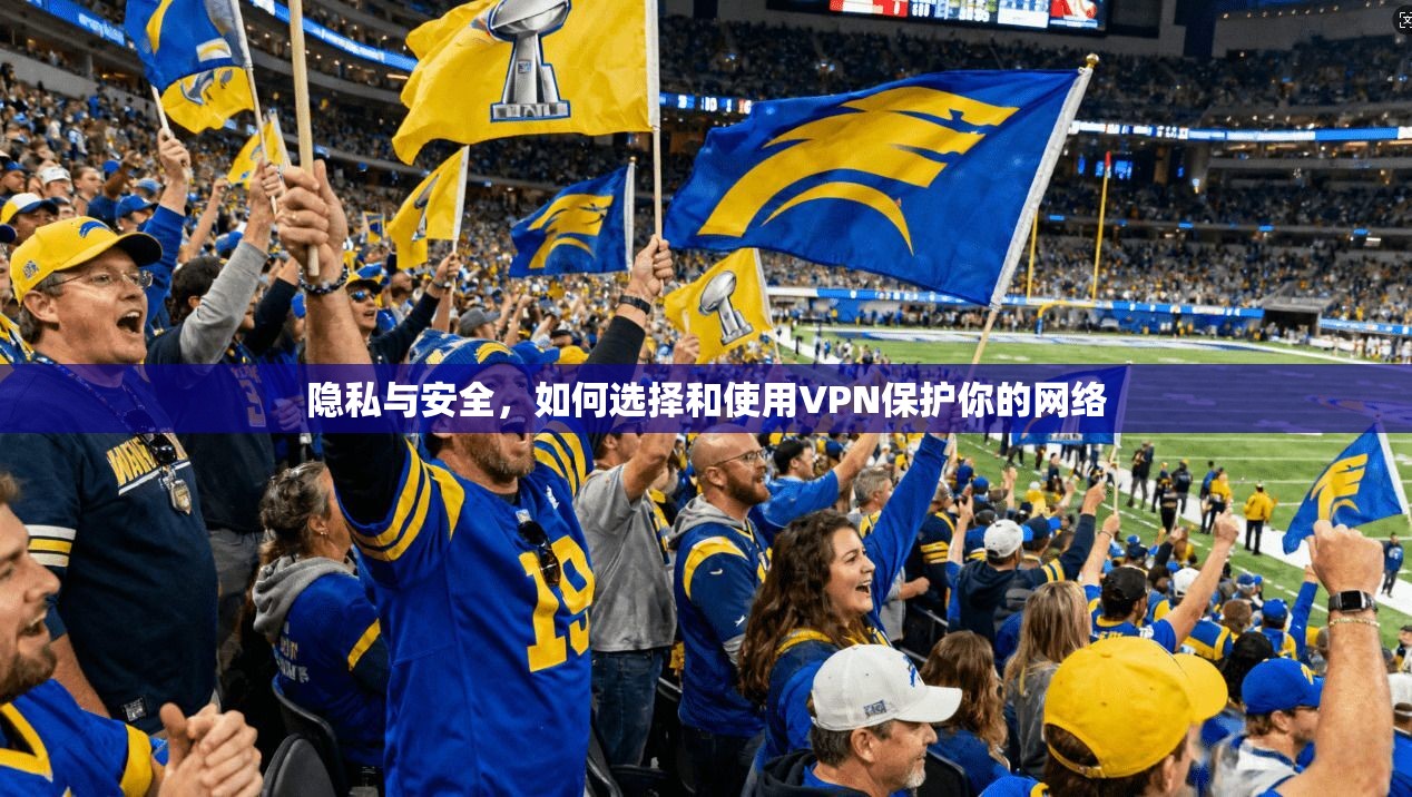 隐私与安全，如何选择和使用VPN保护你的网络  第1张