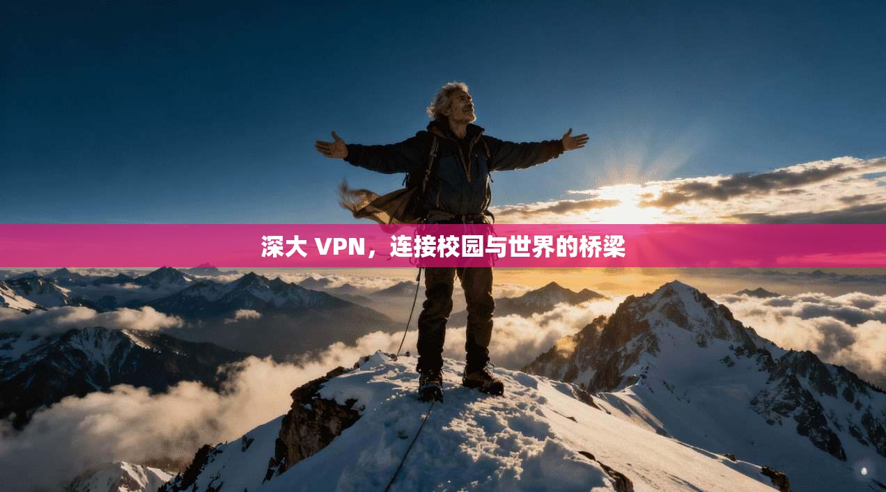 深大 VPN，连接校园与世界的桥梁  第1张