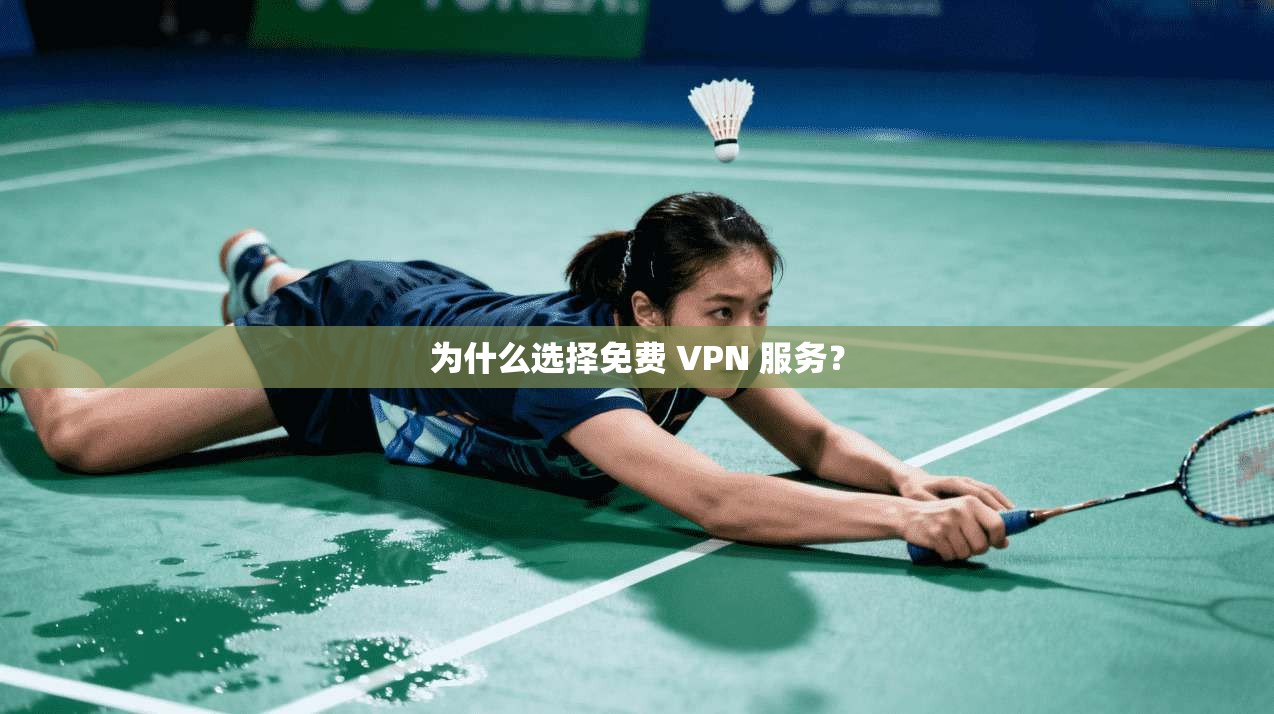 为什么选择免费 VPN 服务？  第1张