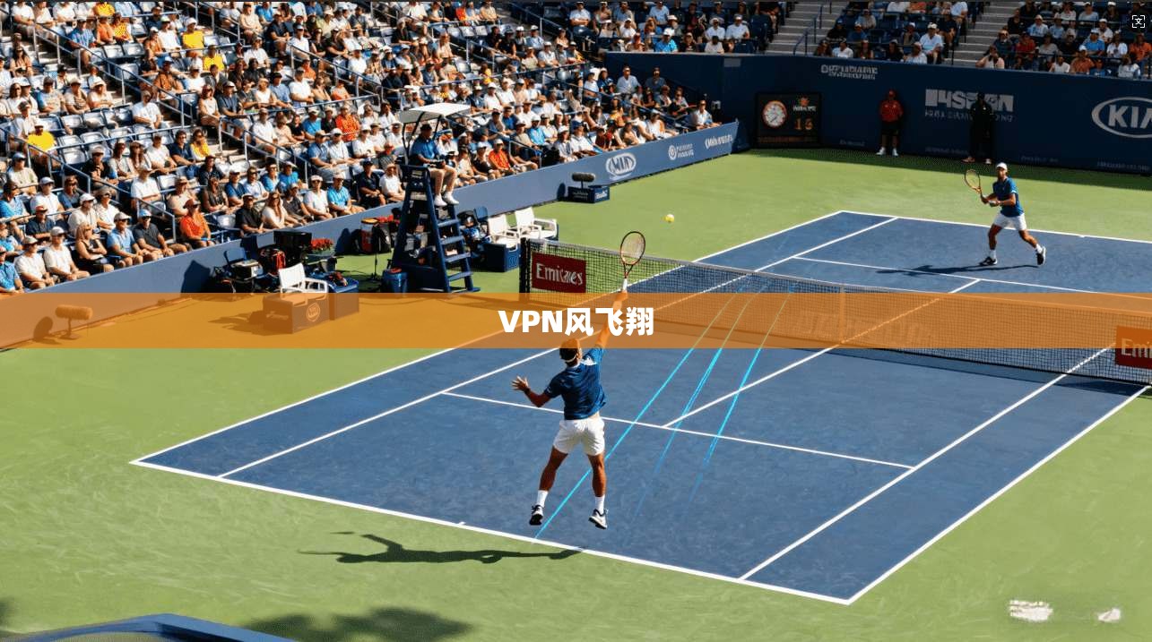 VPN风飞翔 第1张 VPN风飞翔 第1张