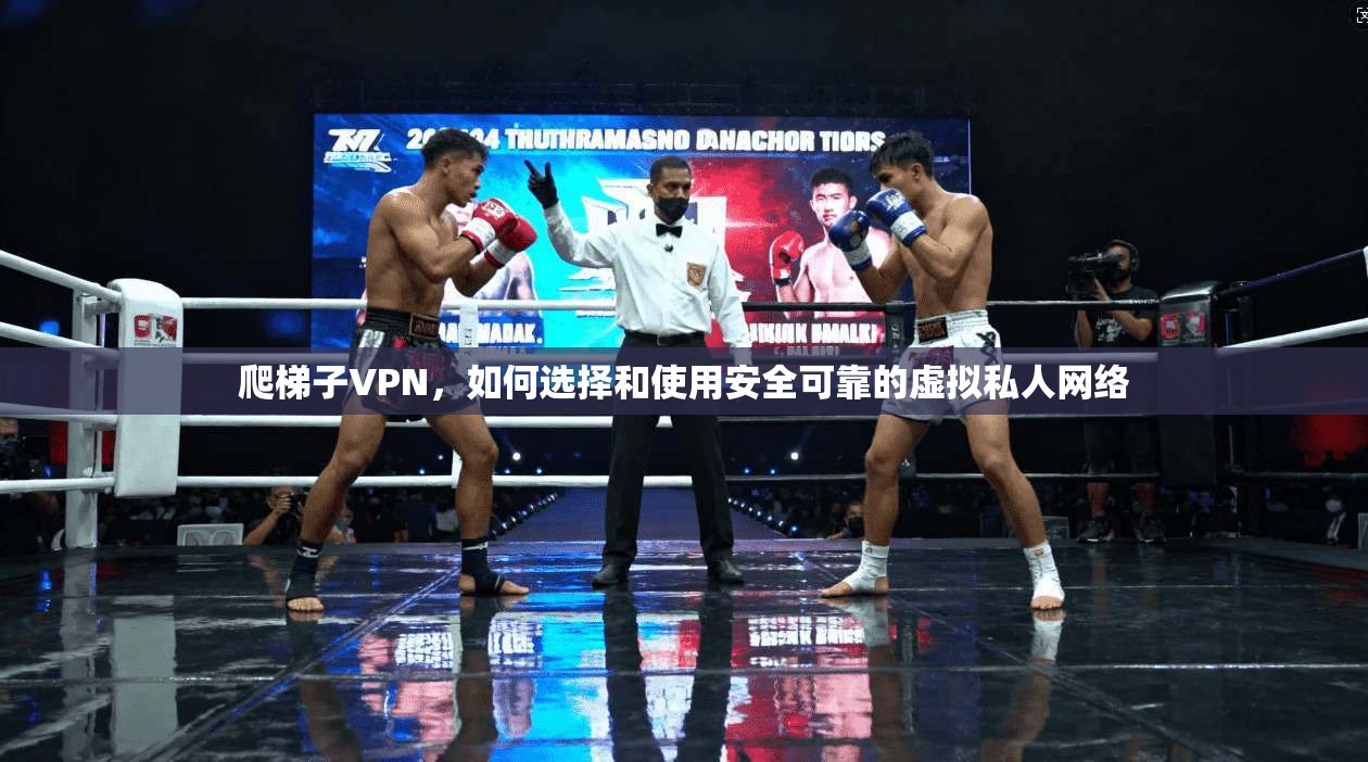 爬梯子VPN，如何选择和使用安全可靠的虚拟私人网络  第1张