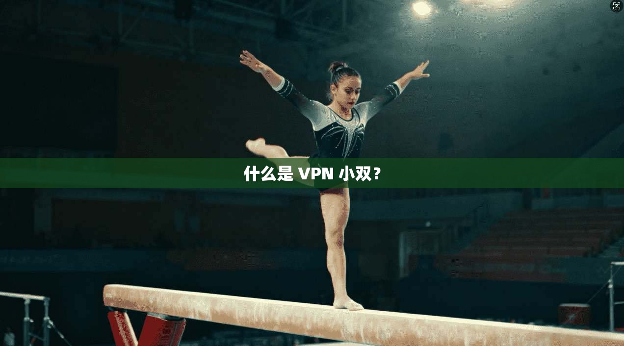 什么是 VPN 小双? 第1张 什么是 VPN 小双? 第1张
