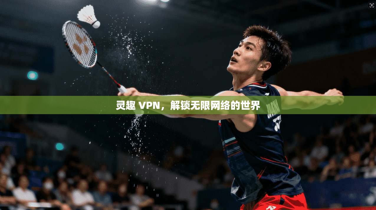 灵趣 VPN,解锁无限网络的世界 第1张 灵趣 VPN,解锁无限网络的世界 第1张