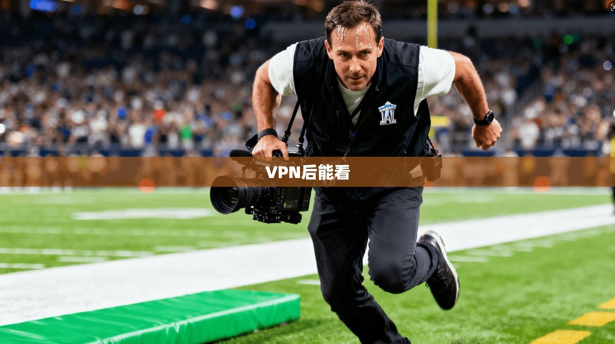 VPN后能看  第1张