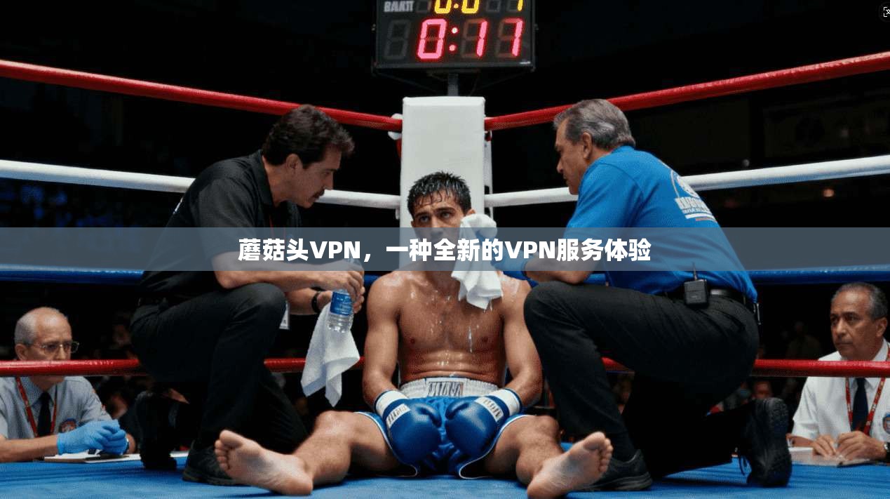 蘑菇头VPN，一种全新的VPN服务体验  第1张