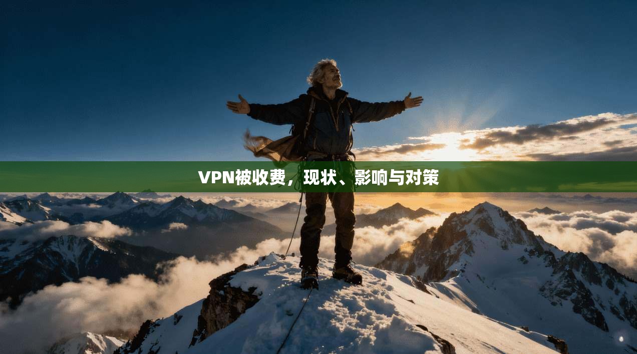 VPN被收费，现状、影响与对策  第1张
