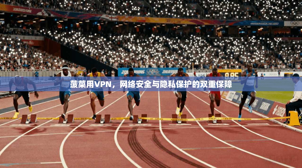 菠菜用VPN，网络安全与隐私保护的双重保障  第1张