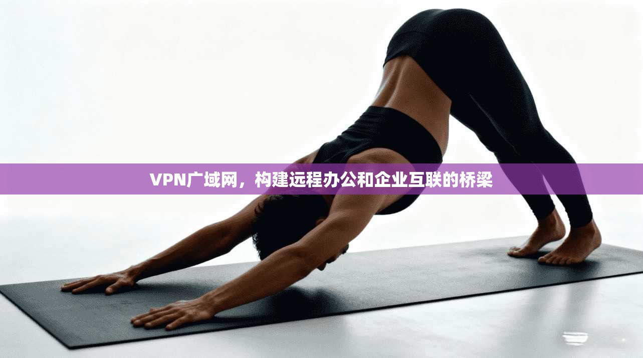 VPN广域网，构建远程办公和企业互联的桥梁  第1张