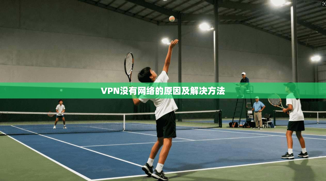 VPN没有网络的原因及解决方法 第1张 VPN没有网络的原因及解决方法 第1张