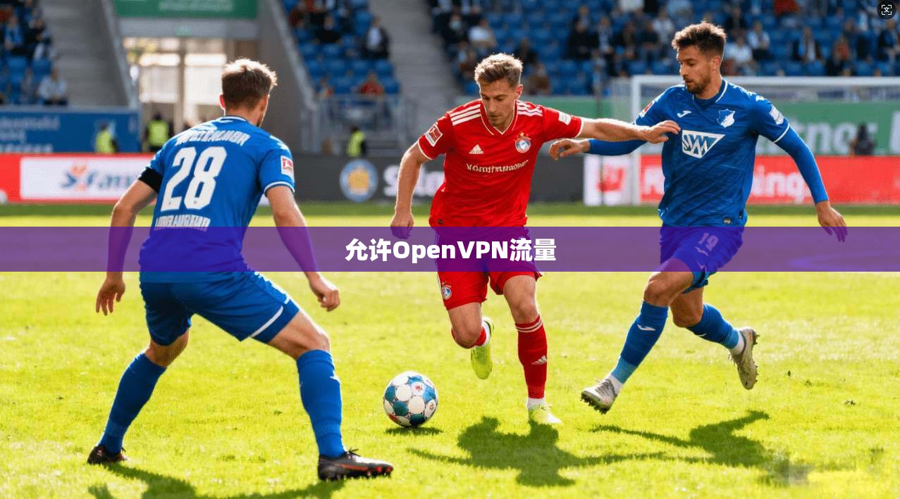 允许OpenVPN流量 第1张 允许OpenVPN流量 第1张