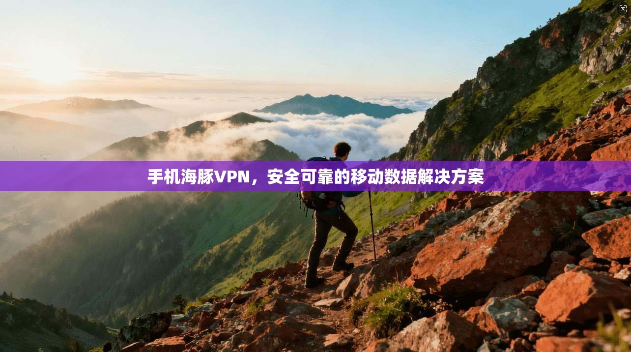 手机海豚VPN,安全可靠的移动数据解决方案 第1张 手机海豚VPN,安全可靠的移动数据解决方案 第1张