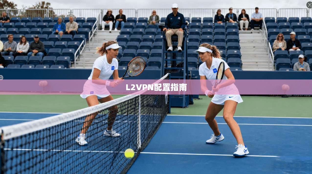 L2VPN配置指南  第1张