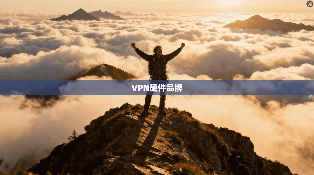 VPN硬件品牌 第1张 VPN硬件品牌 第1张