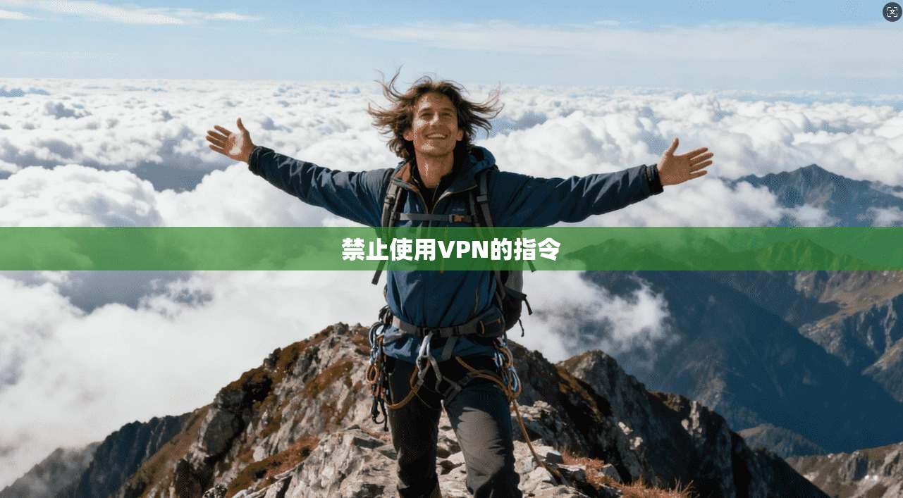 禁止使用VPN的指令 第1张 禁止使用VPN的指令 第1张