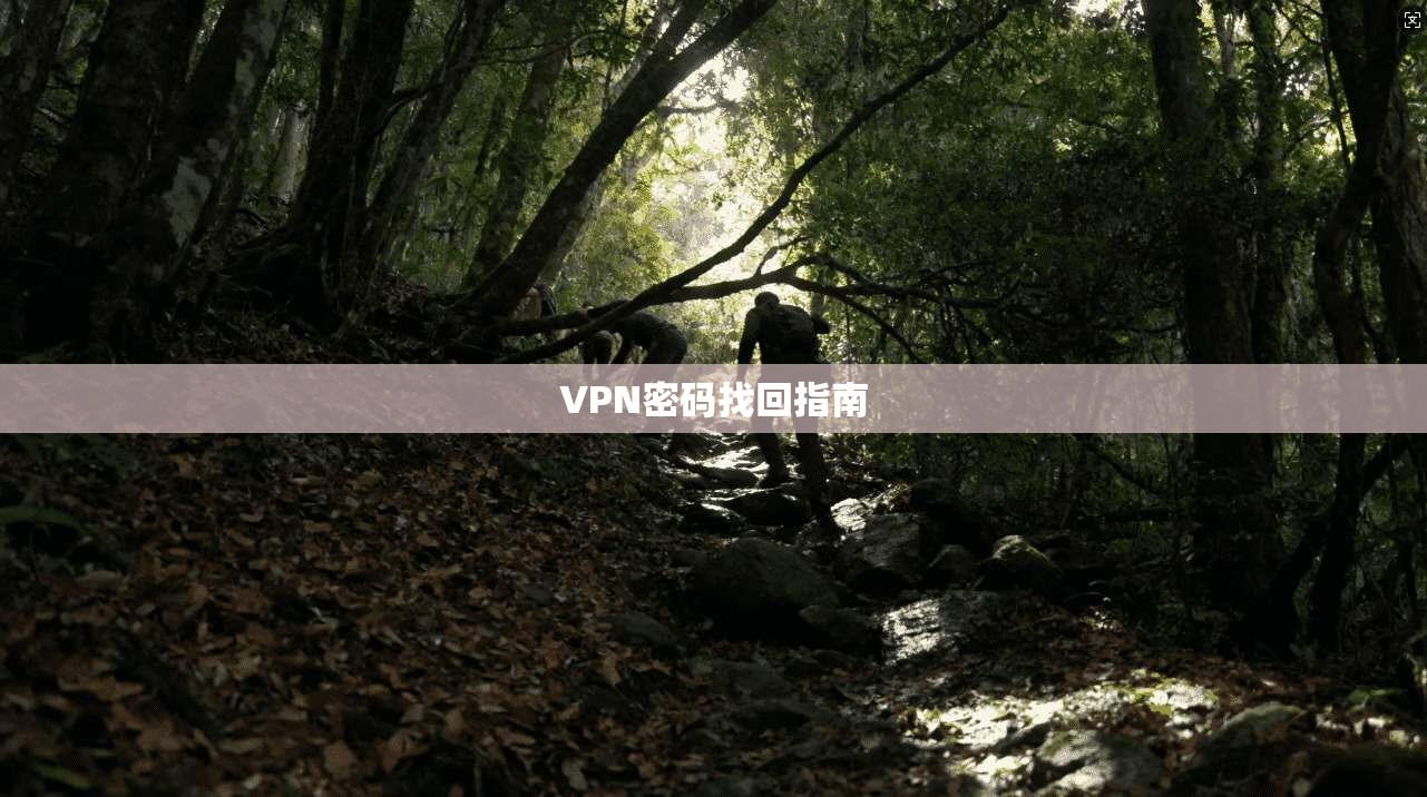 VPN密码找回指南  第1张