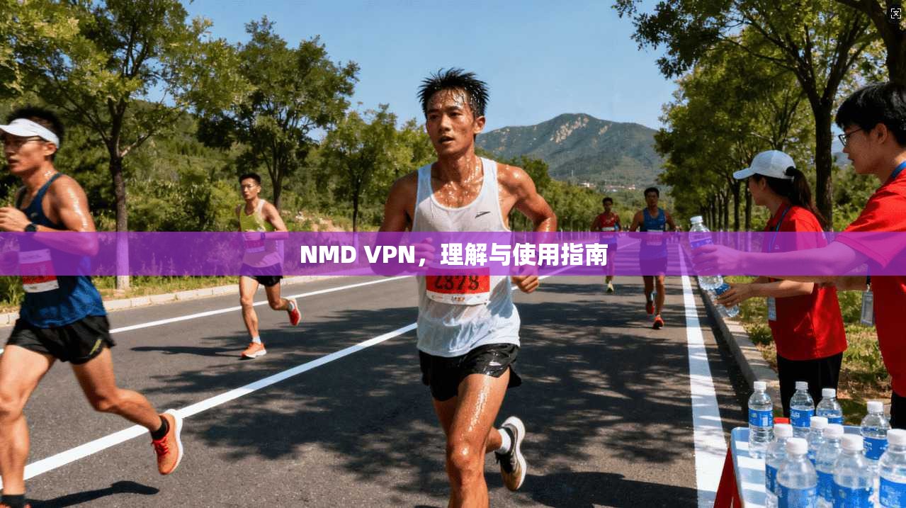 NMD VPN，理解与使用指南  第1张
