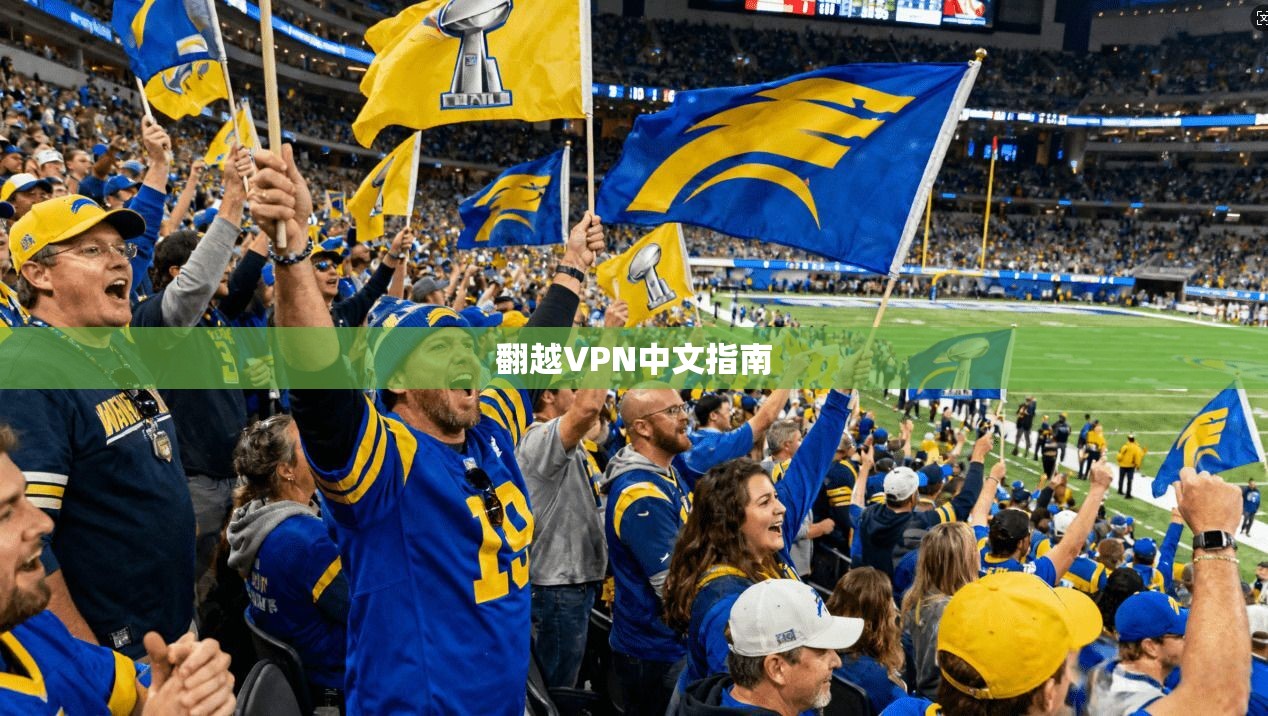 翻越VPN中文指南  第1张
