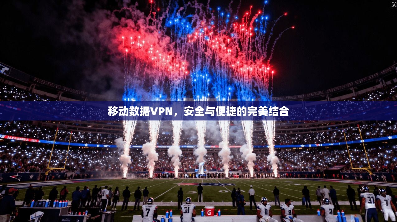 移动数据VPN，安全与便捷的完美结合  第1张