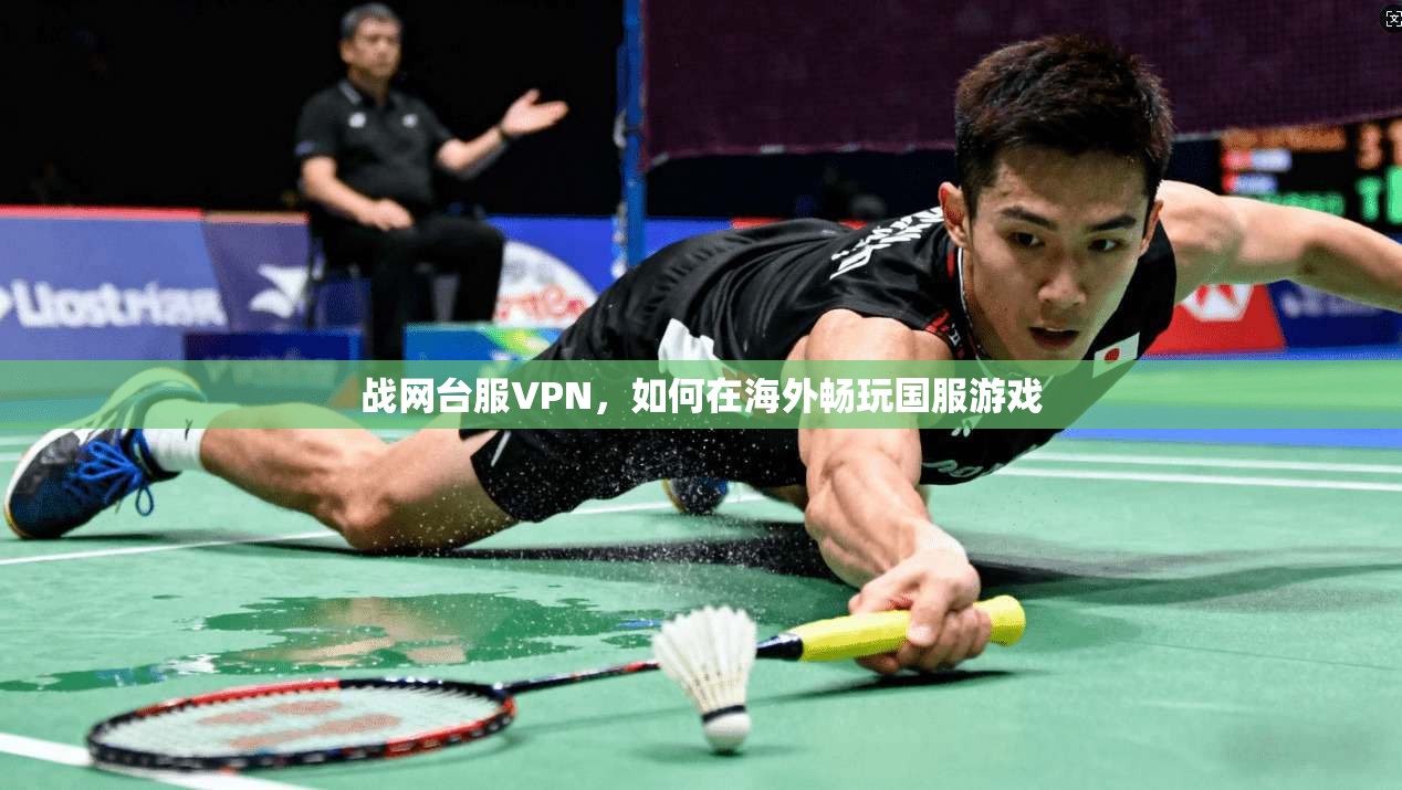 战网台服VPN，如何在海外畅玩国服游戏  第1张