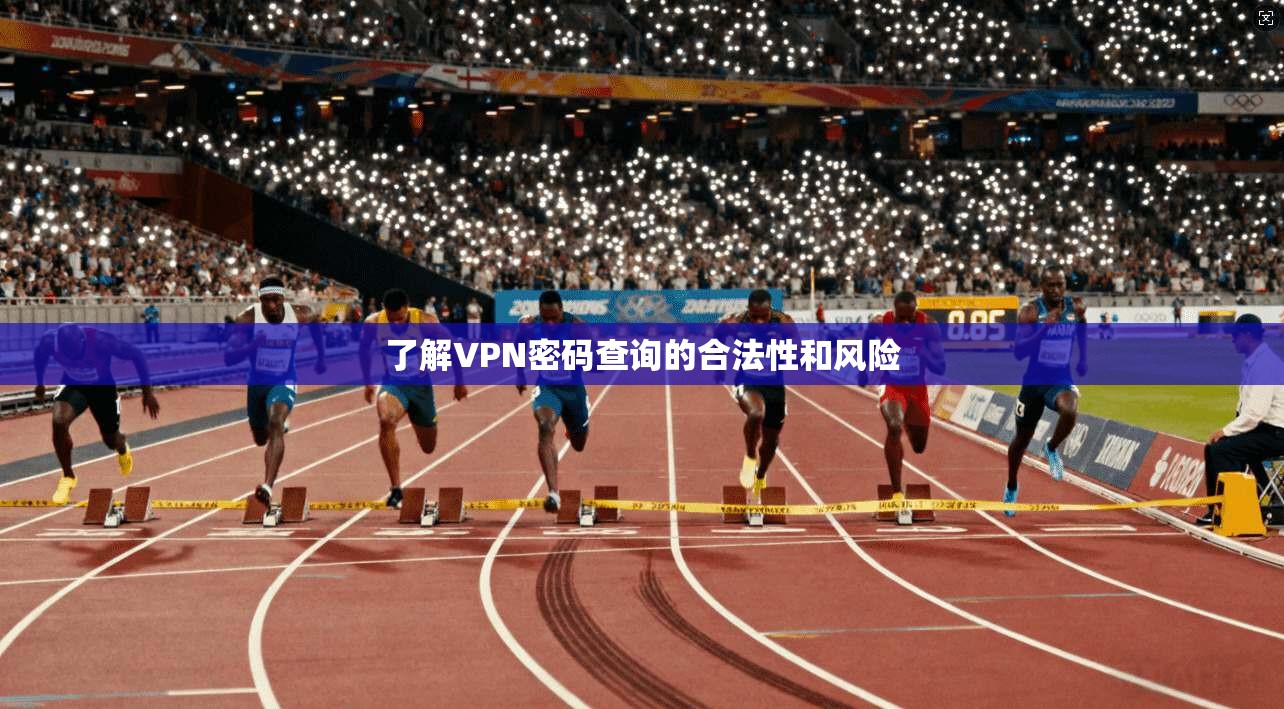 了解VPN密码查询的合法性和风险  第1张