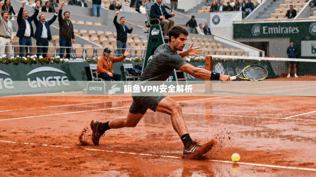 旗鱼VPN安全解析  第1张