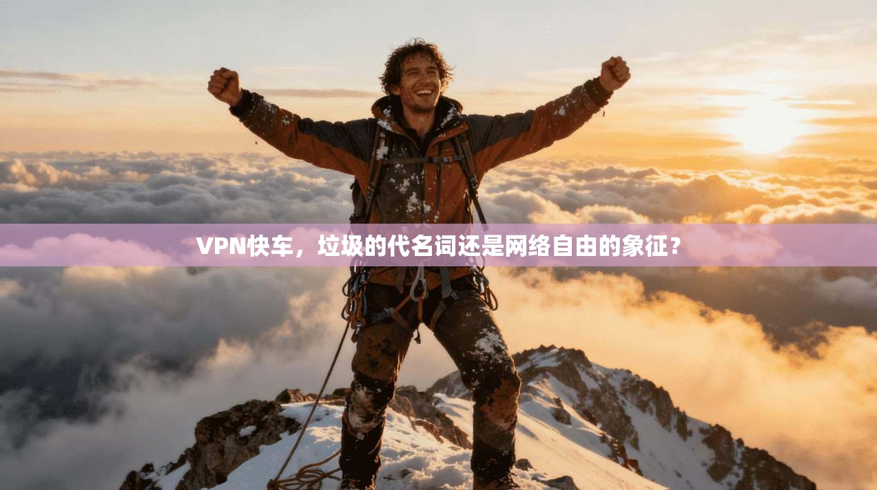 VPN快车，垃圾的代名词还是网络自由的象征？  第1张