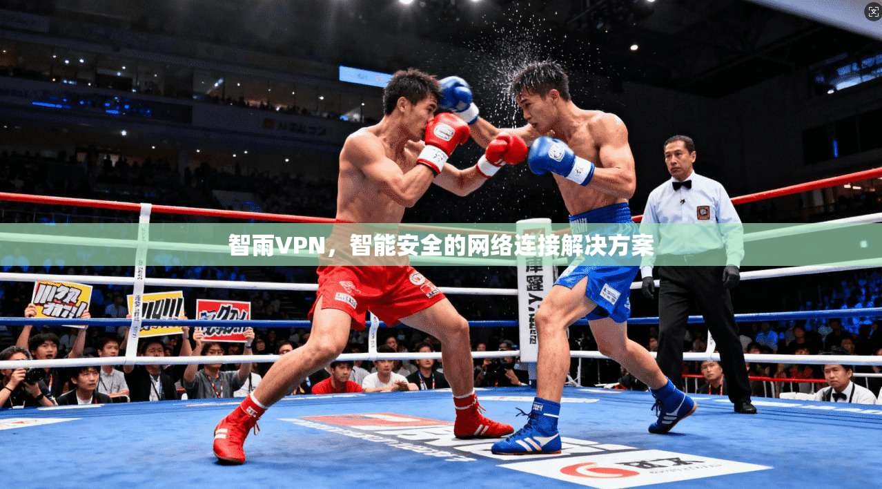 智雨VPN，智能安全的网络连接解决方案  第1张
