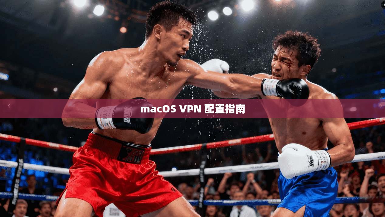 macOS VPN 配置指南  第1张