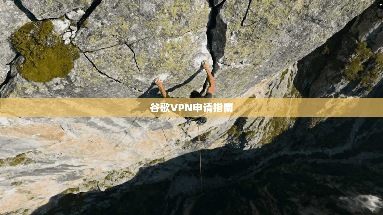谷歌VPN申请指南  第1张