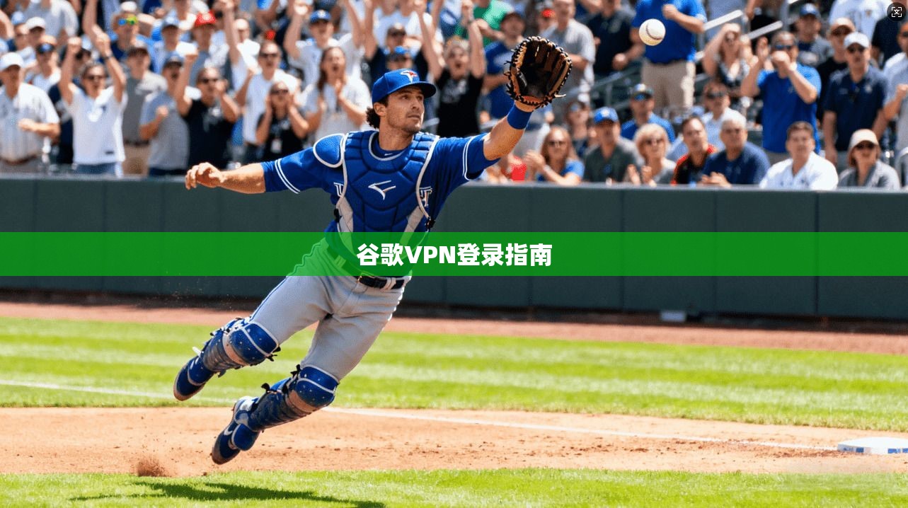 谷歌VPN登录指南  第1张