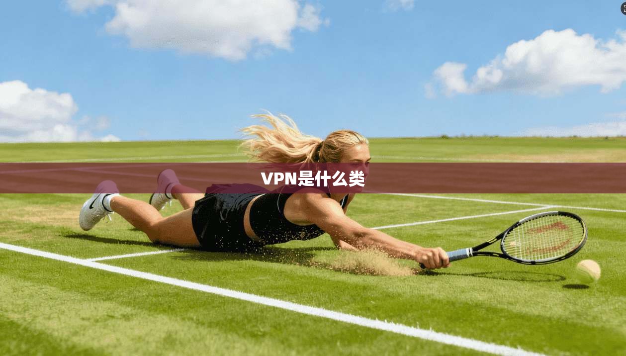VPN是什么类  第1张
