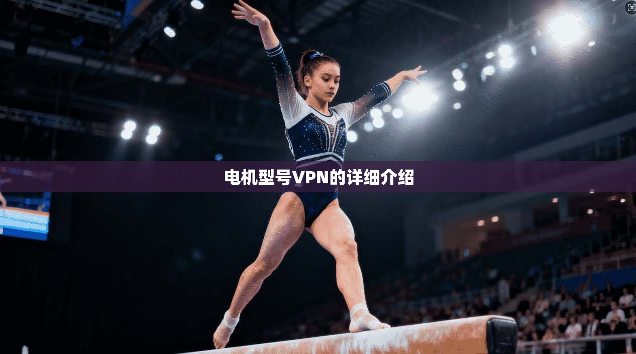 电机型号VPN的详细介绍  第1张