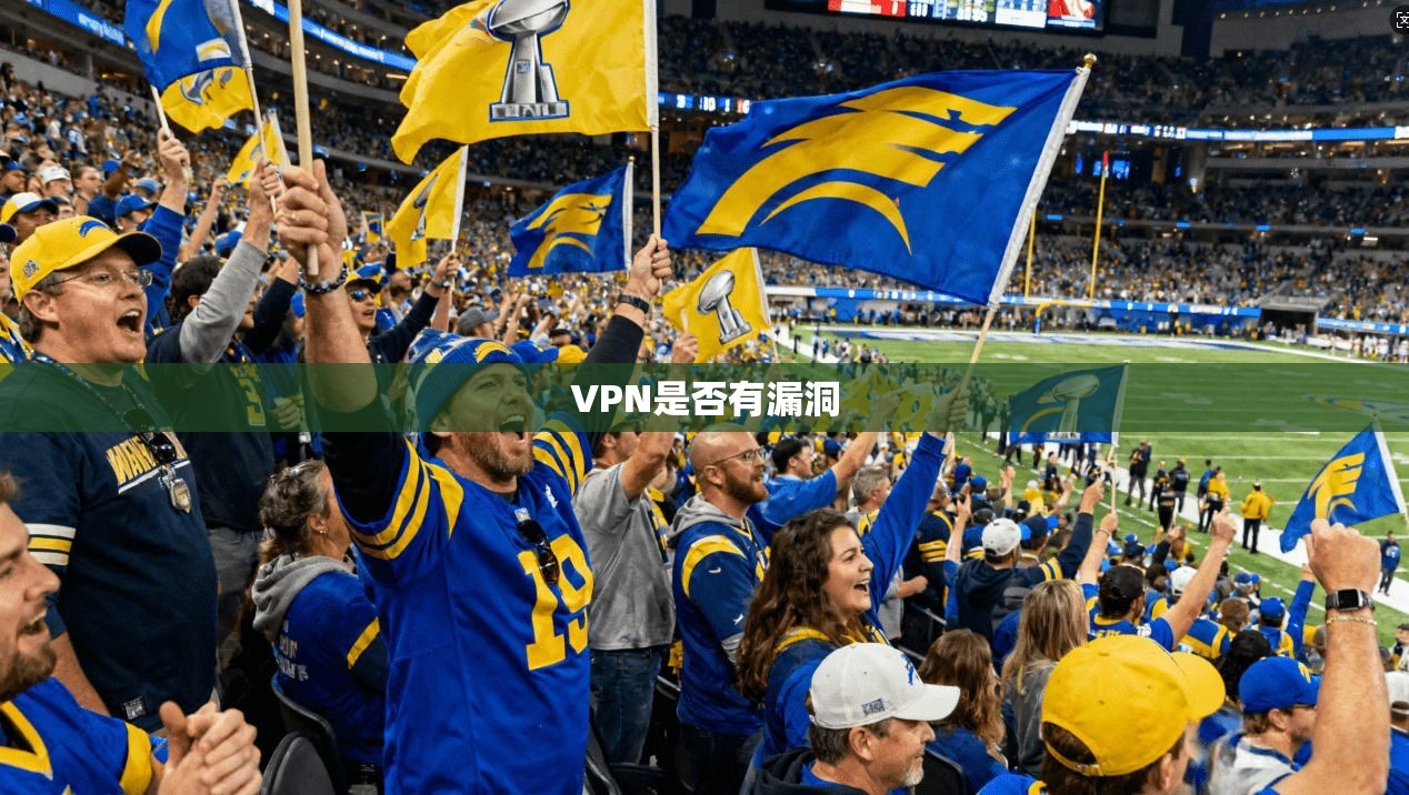 VPN是否有漏洞  第1张