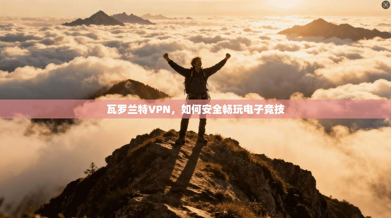 瓦罗兰特VPN，如何安全畅玩电子竞技  第1张