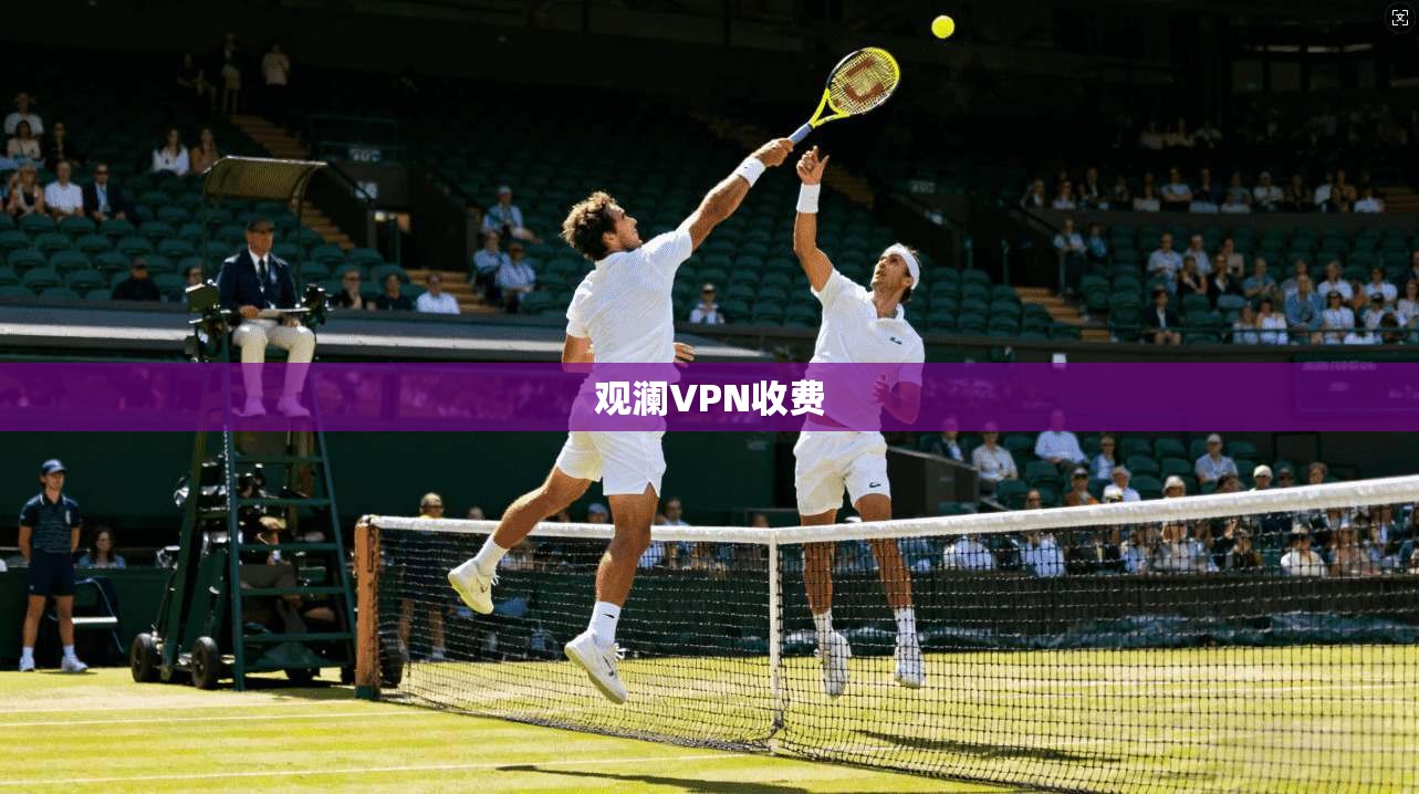观澜VPN收费  第1张