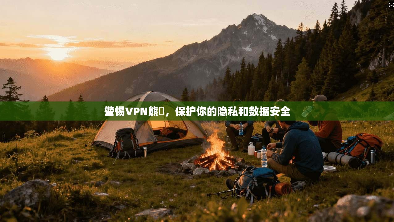 警惕VPN熊貓，保护你的隐私和数据安全  第1张