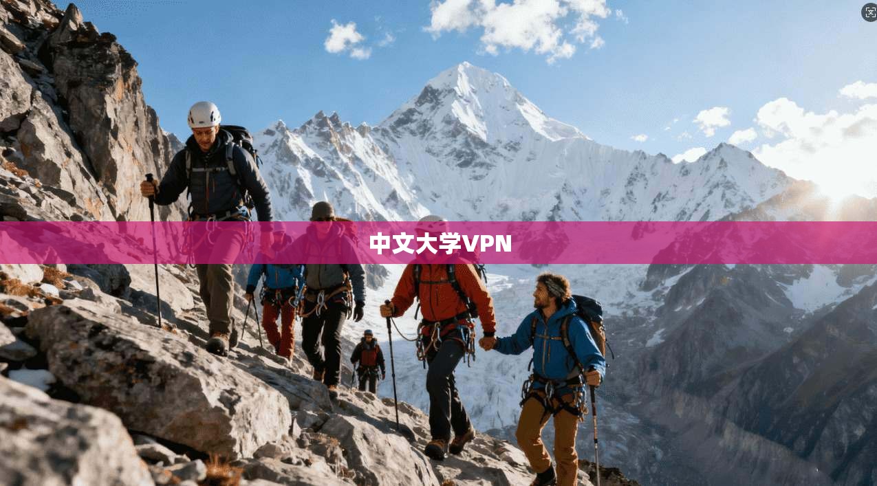 中文大学VPN  第1张