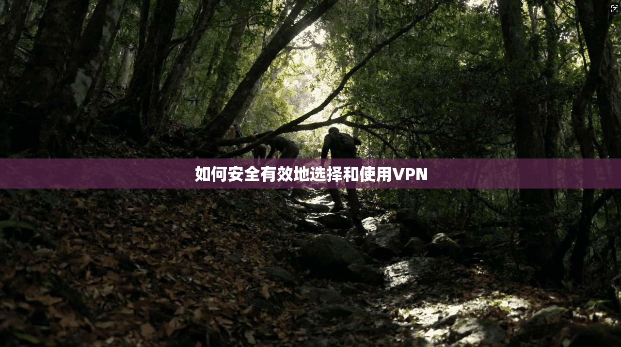 如何安全有效地选择和使用VPN  第1张