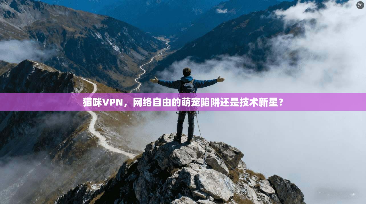 猫咪VPN，网络自由的萌宠陷阱还是技术新星？